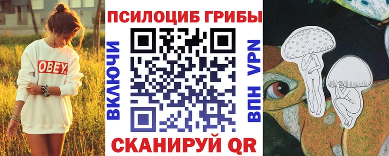 Галлюциногенные грибы Psilocybe  кракен как войти  Яблоновский  как найти наркотики 