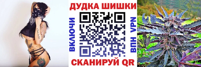 цена Яблоновский Бошки Шишки планчик